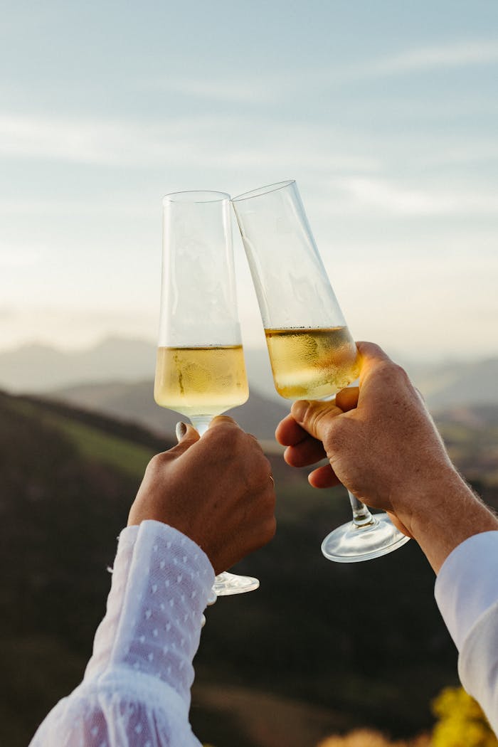Close-up of hands clinking champagne glasses against a scenic sunset backdrop.